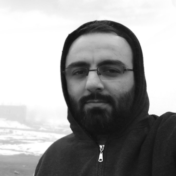 hasan karimi